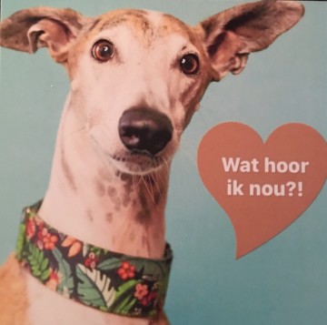 4a37ebbd 2f02 48f1 b457 ceadaa25db84