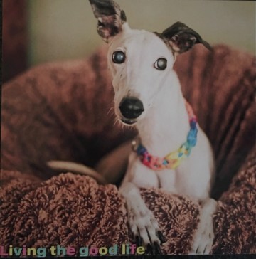 6bf71658 0f8e 4481 8f57 a09f23eefd80