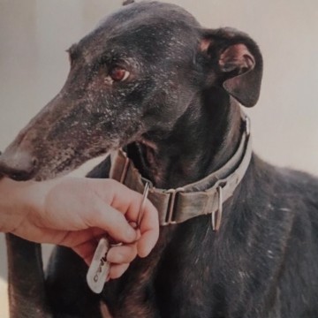 7778b3cd 1557 4568 9f83 cfa9e9b0b0a4