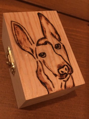 Ab65e5f7 811a 4b2f 8753 172d4a174321