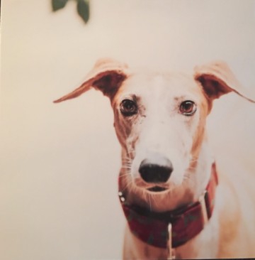 Bb1927a8 6a3e 44d7 9913 d93b1a590f93