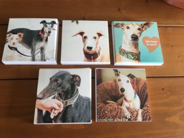 C1f3907d 226f 4125 9b57 72c9fcbcc97e